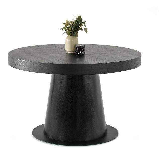 Jídelní stůl Automoviles (černá)