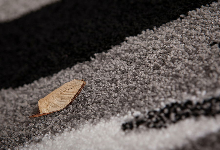 Kusový koberec Vista 961 Silver