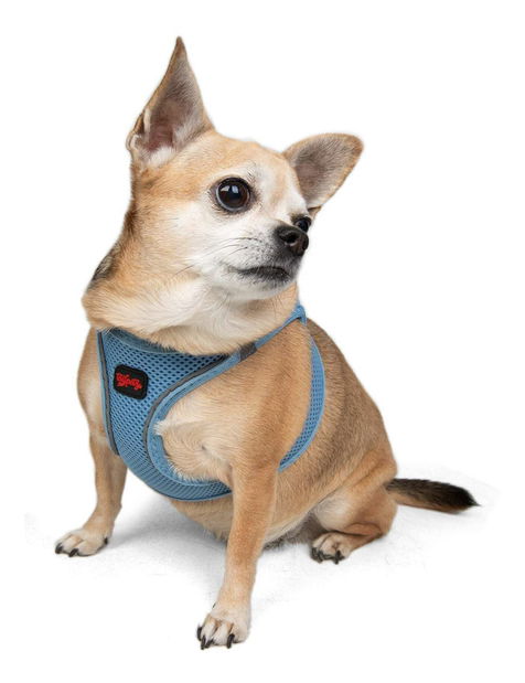 Postroj pro psa Airy (hnědá) (XS)