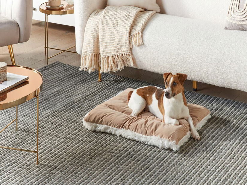 Pelíšek pro psa Edward (béžová)