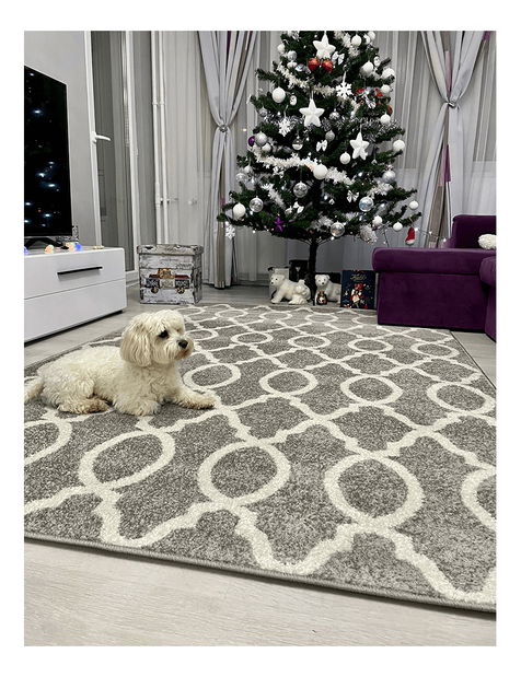 Koberec 160x235 cm Destiny