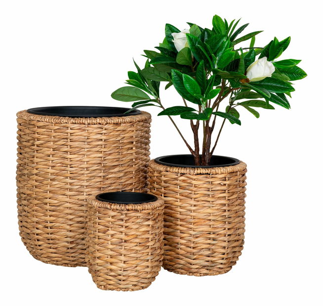 Set 3 ks proutěných květináčů Hanelia (přírodní)