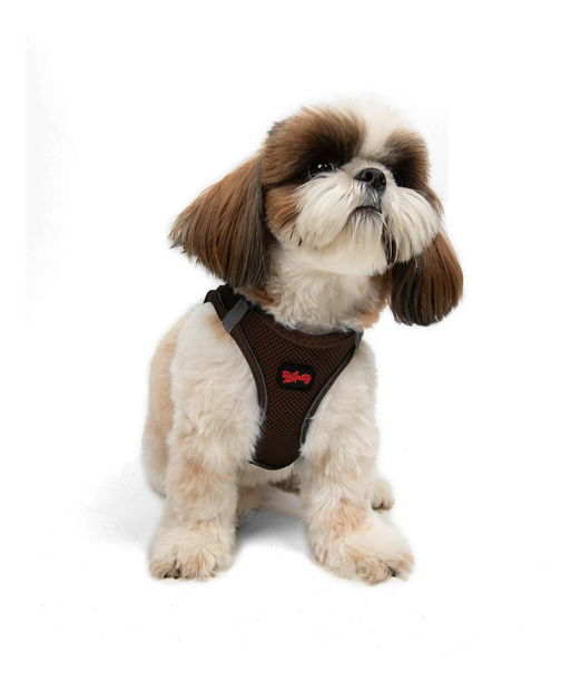 Postroj pro psa Airy (modrá) (XL)