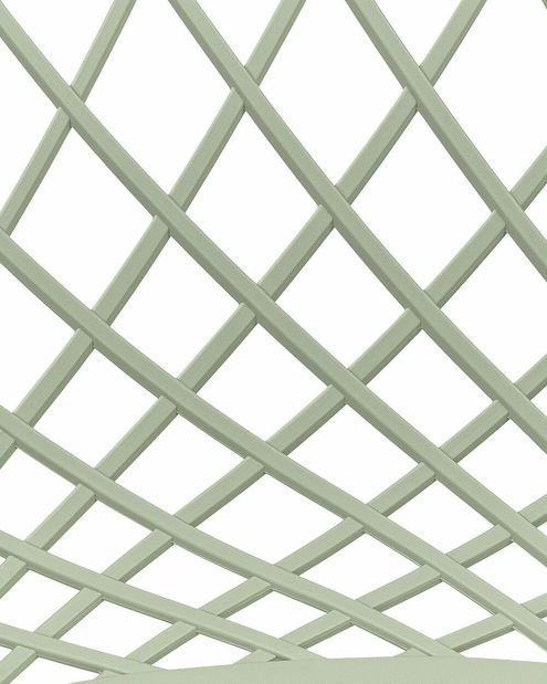 Set 2 ks jídelních židlí Canza (zelená)