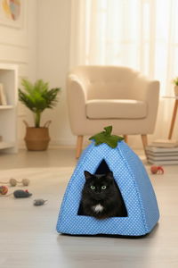 Pelíšek pro kočky Bepa 3 (modrá)