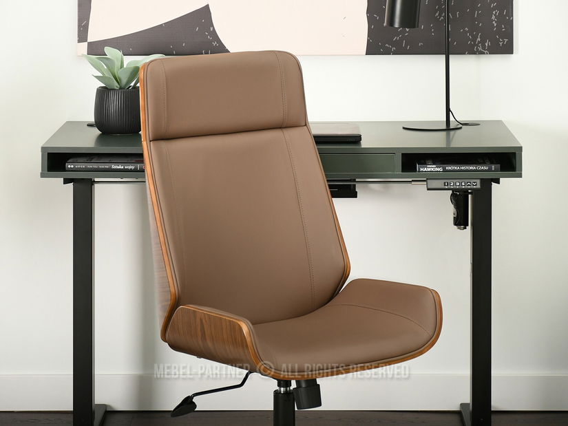 Židle Aukley (ořech + černá)