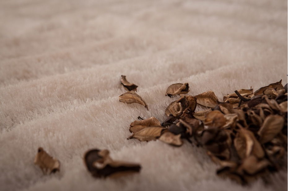 Ručně všívaný koberec Olymp 551 Cream