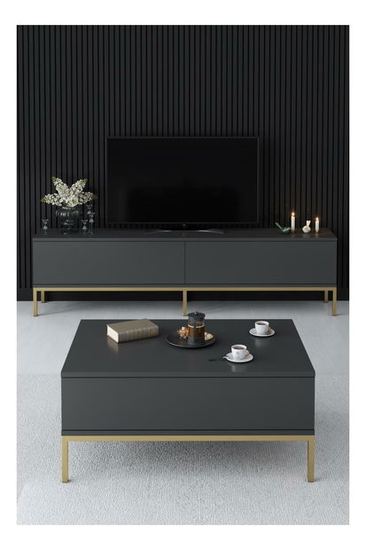TV stolek/skříňka Vibubi 2 (antracit + zlatá)