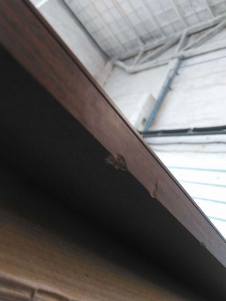 Zrcadlo BRW KENT ELUS 155 (Kaštan) *bazár