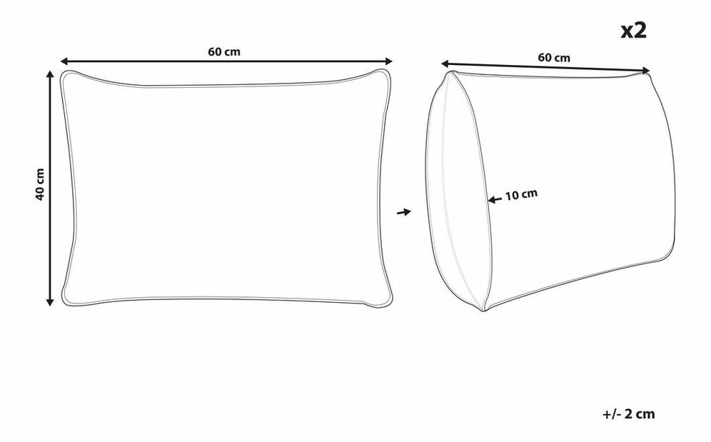 Sada 2 ozdobných polštářů 40 x 60 cm Torret (béžová)