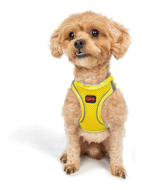 Postroj pro psa Airy (žlutá) (3XS)