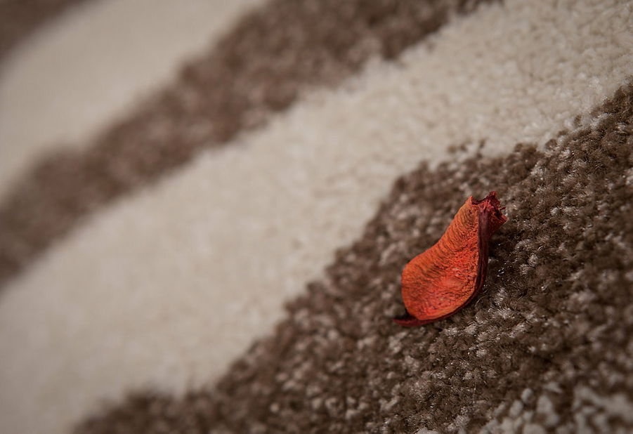 Kusový koberec Vista 960 Beige