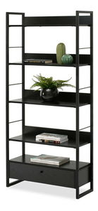 Regál Luca (černé dřevo + černá)