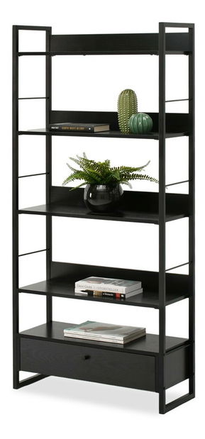 Regál Luca (černé dřevo + černá)