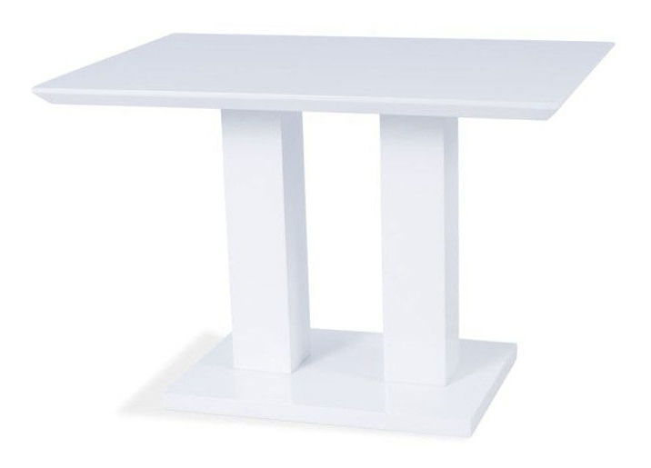 Jídelní stůl Thurman (bílá + bílá) (pro 4 osoby)