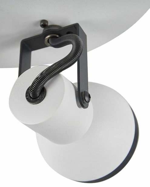 Stropní svítidlo Braulio (bílá)