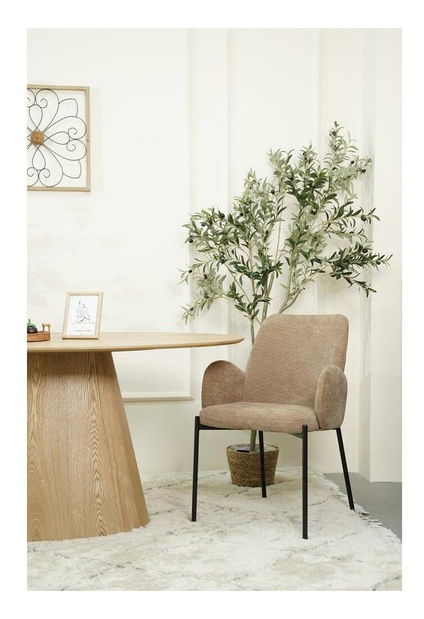 Jídelní židle Miracle (aulla 17)