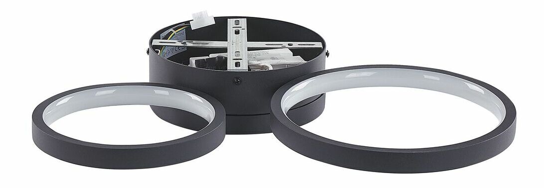 Stropní svítidlo Agnatt (černá)