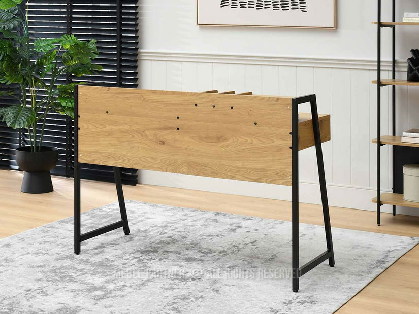 PC stolek Rigielo (dub černý + černá)