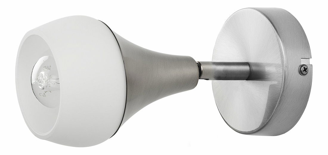 Nástěnná lampa Antler I (stříbrná)