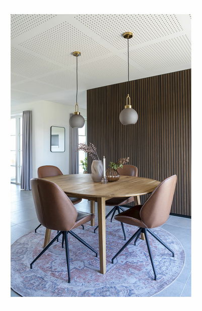 Jídelní židle Moloria 1 (hnědá)