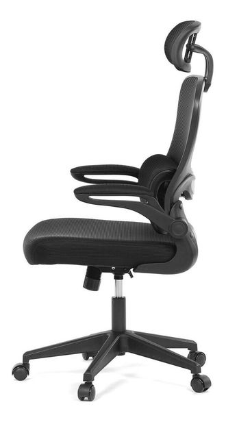 Kancelářské křeslo Polizones (černá)