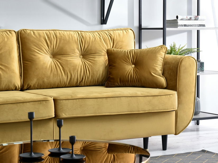 Pohovka dvousedačka Bacteria (zlatá + černá)