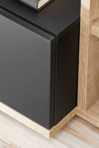 Obývací stěna Salk (dub ribbeck + černá) 