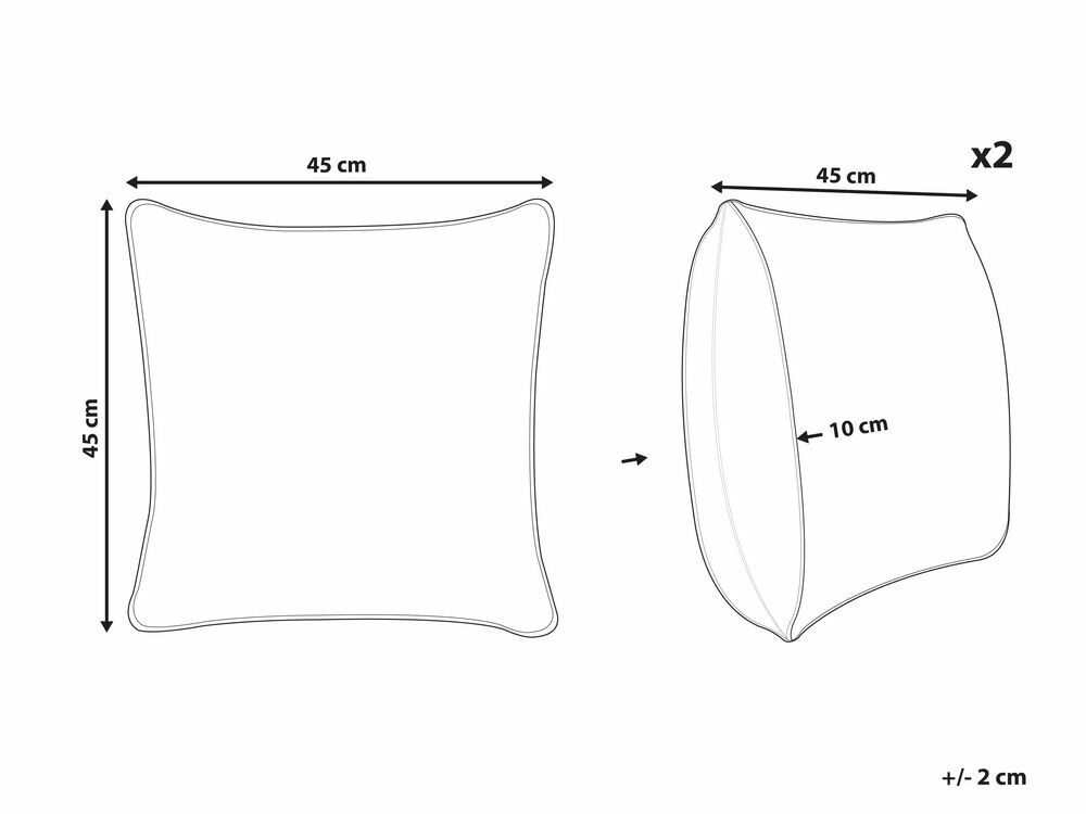 Sada 2 ozdobných polštářů 45 x 45 cm Torret (béžová)