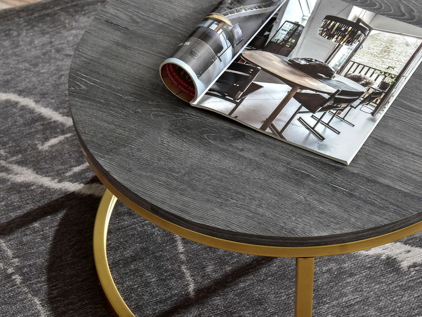 Konferenční stolek Kolja Stolek S (dub šedý + zlatá)