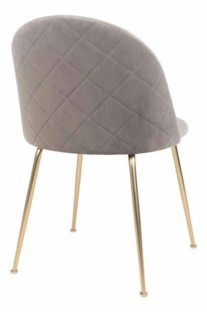 Jídelní židle Gonderia 1 (šedá)