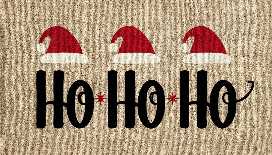 Rohožka Bosa 1 (vícebarevné)