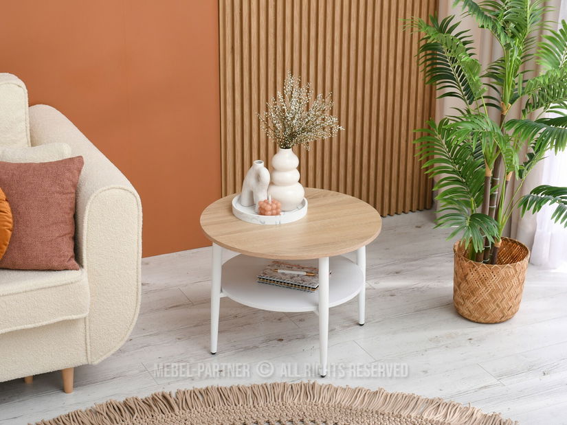 Konferenční stolek Randolf S (sonoma + bílá)