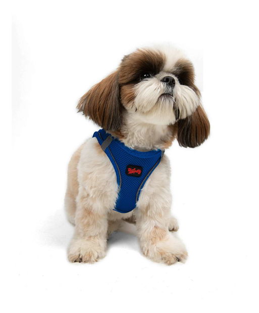 Postroj pro psa Airy (žlutá) (XL)