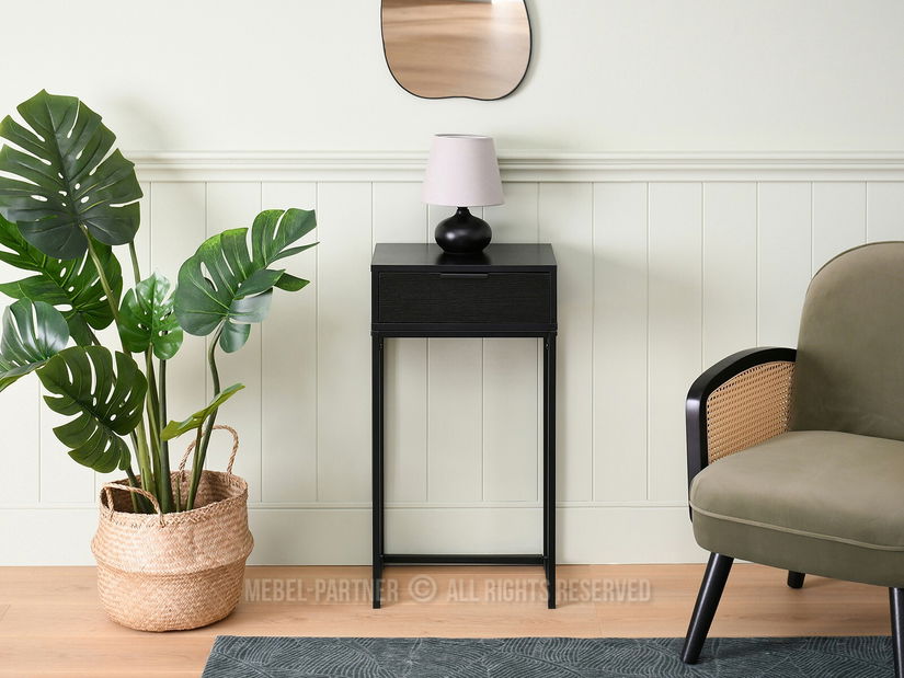 Konzolový stolek Norma S (černé dřevo + černá)