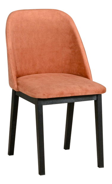 Jídelní židle Monte 1