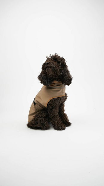 Bunda pro psa Shotly (zelená) (M)