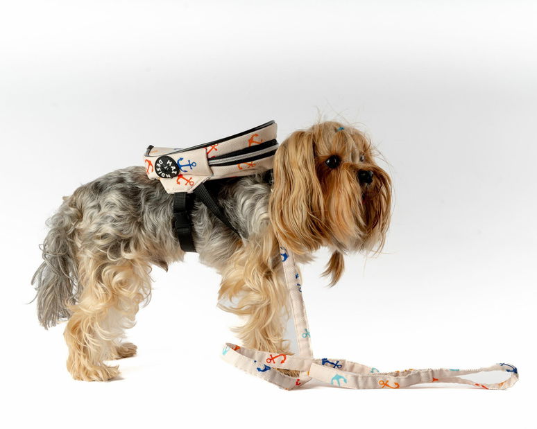 Postroj pro psa Lenny (dub)