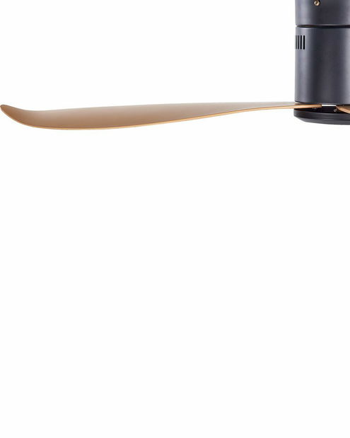 Stropní ventilátor se světlem Malza (černá)