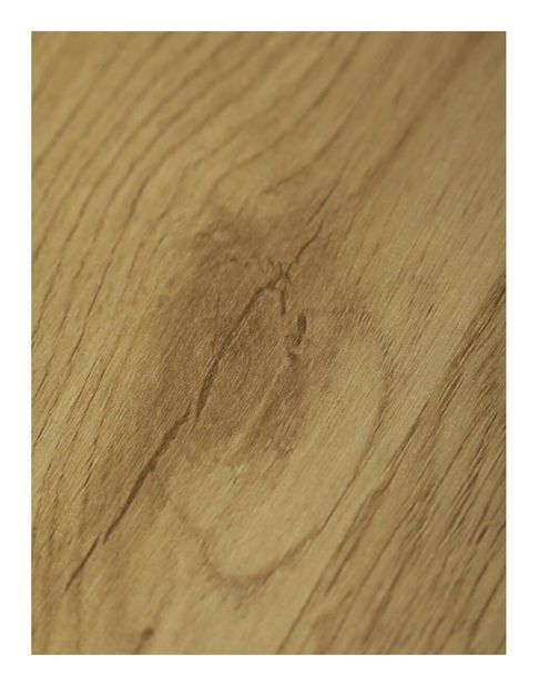 Konzolový stolek Comodo (dub divoký)