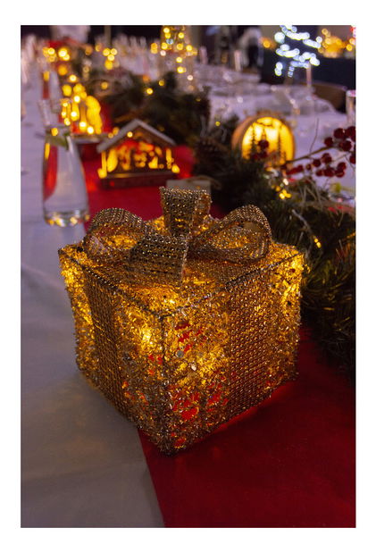 Vánoční drátěný dárek Retlux RXL 373