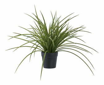 Tráva Geamona 1 (zelená)