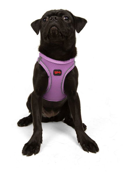 Postroj pro psa Airy (žlutá) (XS)