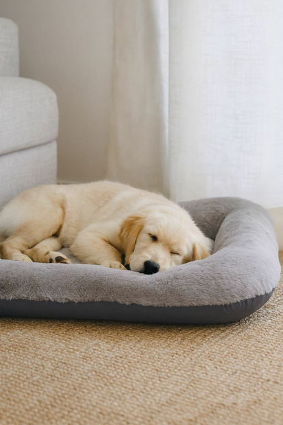 Pelíšek pro domácí zvíře Sallina (antracit) 55 x 75 cm