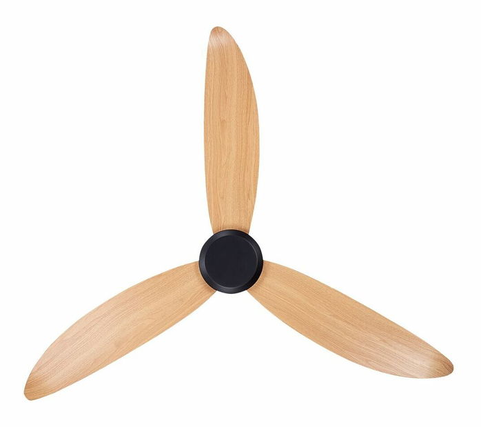 Stropní ventilátor se světlem Malza (černá)