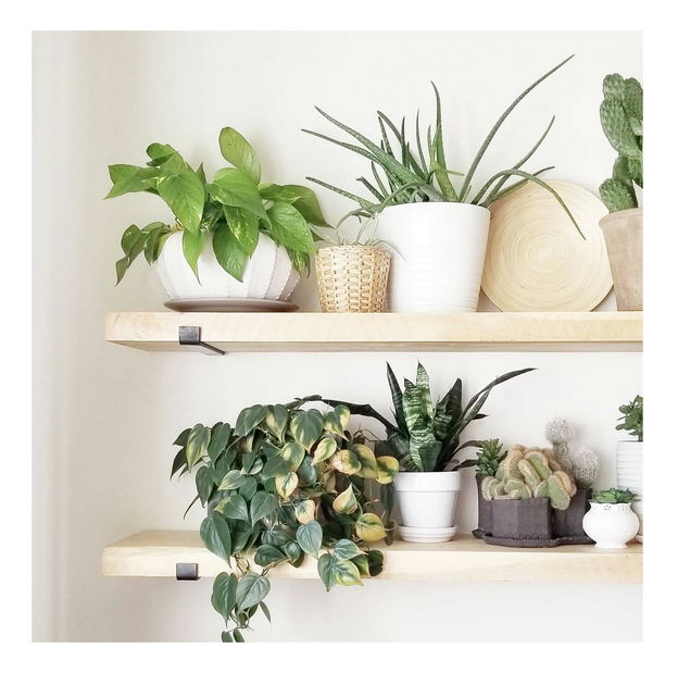 Set 2ks. polic Dupone 5 (černá + dub)