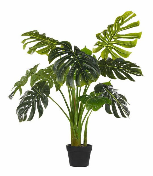 Umělá rostlina 113 cm MONTRA