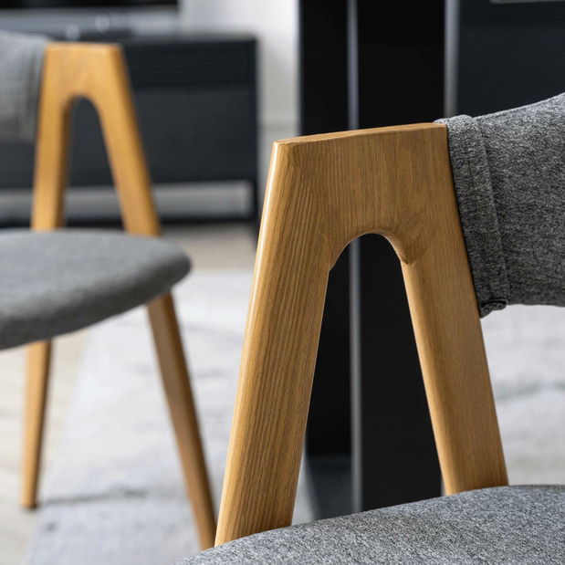 Jídelní židle Renuncio (šedá)