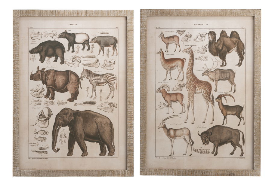 Fotorámeček (hnědá) 75x2x54cm