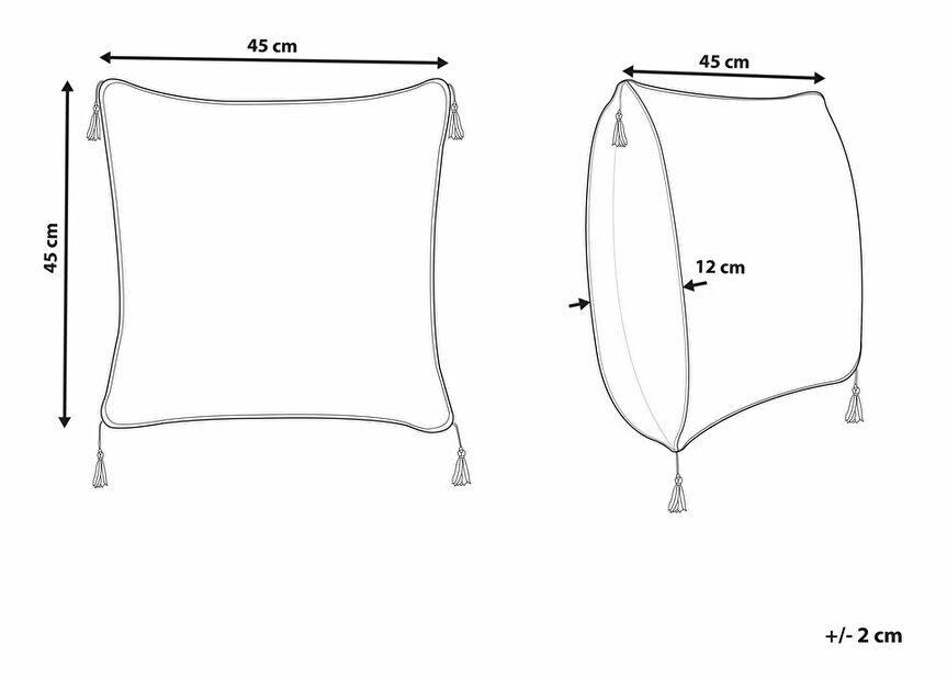Sada 2 ozdobných polštářů 45 x 45 cm Pulim (béžová)